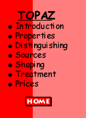 topaz menu